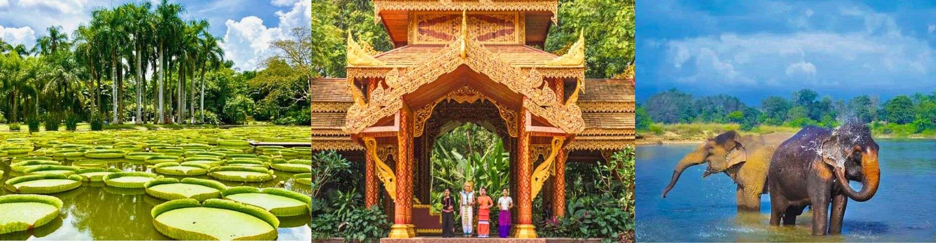 Xishuangbanna Tours